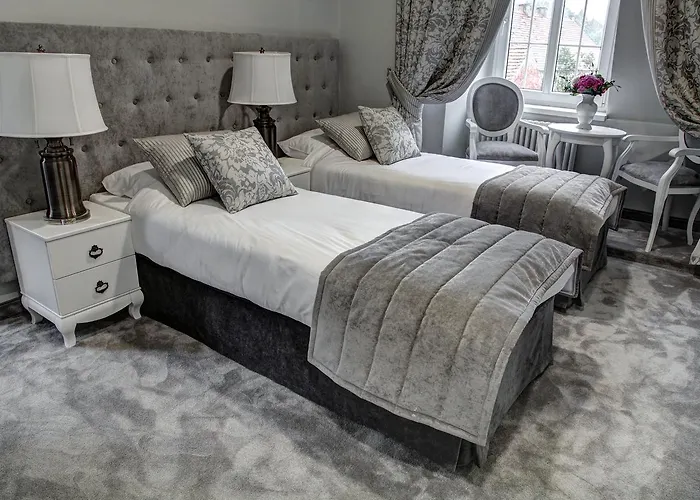 Bed & Breakfast Palac W Badzowie 4*